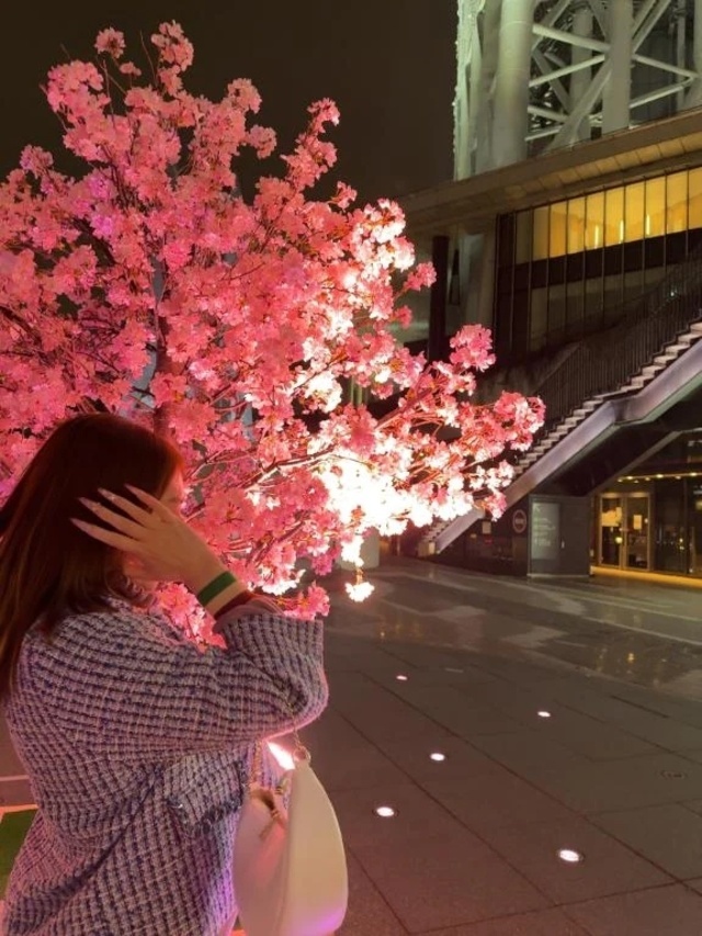 次回は4/5日｜写メ日記｜せいら｜品川・五反田 一般デリヘル 熟女の風俗最終章 品川店