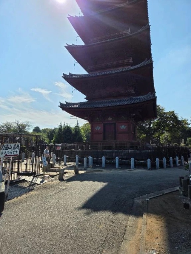 こんにちは👋😃｜写メ日記｜ひでみ｜品川・五反田 一般デリヘル 熟女の風俗最終章 品川店