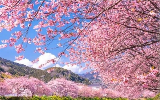 こんにちは✨｜写メ日記｜はづき｜品川・五反田 一般デリヘル 熟女の風俗最終章 品川店