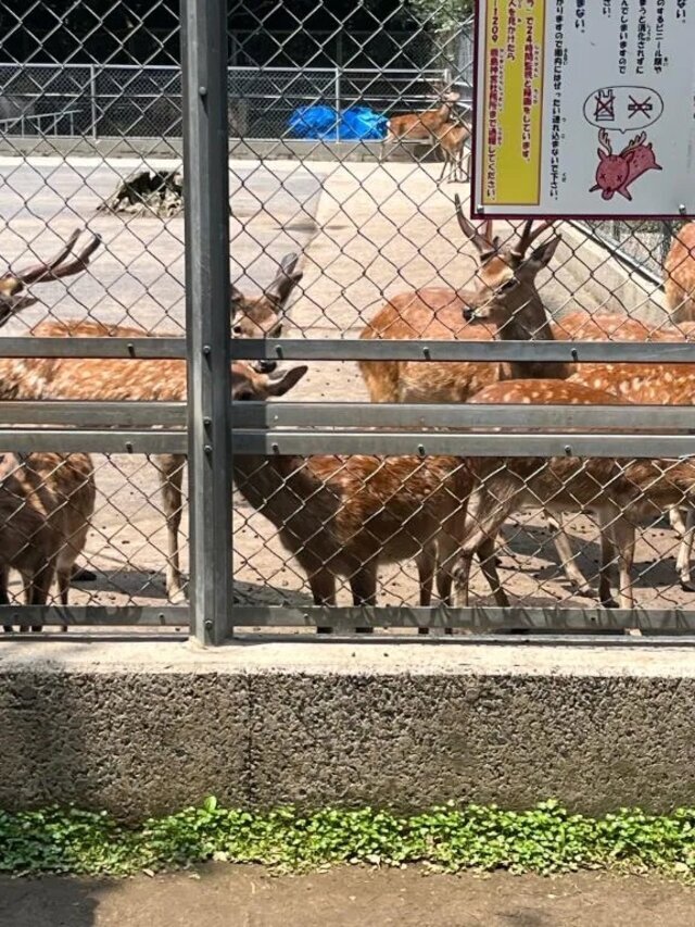 ありがとうございました｜写メ日記｜うた｜品川・五反田 一般デリヘル 熟女の風俗最終章 品川店