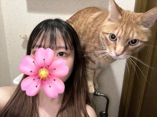 我が家のにゃんこ｜写メ日記｜芦沢　さくら｜池袋 出張SM 電マ惑星 イラマチーオ池袋店