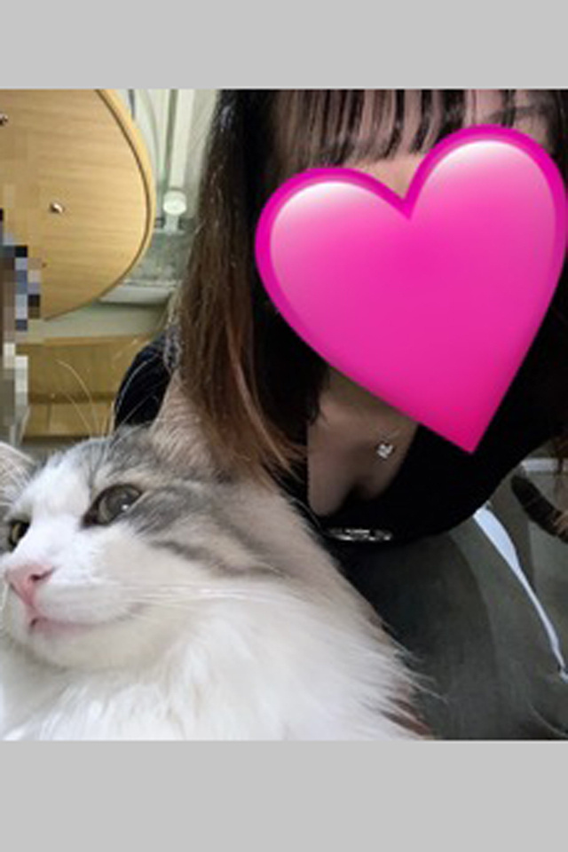 写真を遡っていたら猫カフェに行った時の写真みつけちゃいました～！  ねことの写真｜写メ日記｜芦沢　さくら｜池袋 出張SM 電マ惑星 イラマチーオ池袋店