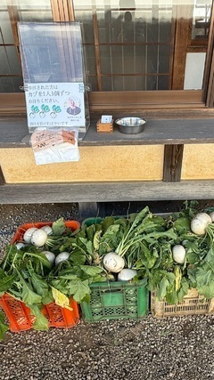 心ポカポカあたたまる話｜写メ日記｜五条　乃々香｜池袋 出張SM 電マ惑星 イラマチーオ池袋店