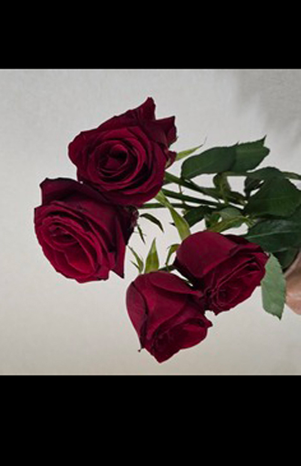 元気なばら|写メ日記|沢口 保奈美|池袋 出張SM 電マ惑星 イラマチーオ池袋店