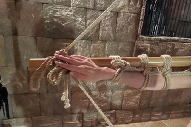 ただいま、ご主人様の元へ向かっています*  移動の間、窓の外を眺めながら静かに気