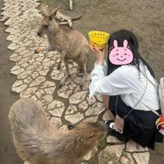 あと少しで、、、