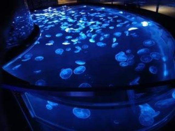 涼を求めて｜写メ日記｜山口　つかさ｜新宿 出張SM 電マ惑星 イラマチーオ新宿店