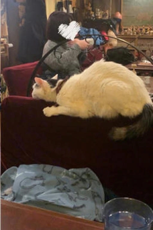 ぼにゃーる｜写メ日記｜山口　つかさ｜新宿 出張SM 電マ惑星 イラマチーオ新宿店