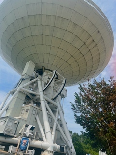 (*´?`*)｜写メ日記｜渡瀬　きょう｜新宿 出張SM 電マ惑星 イラマチーオ新宿店