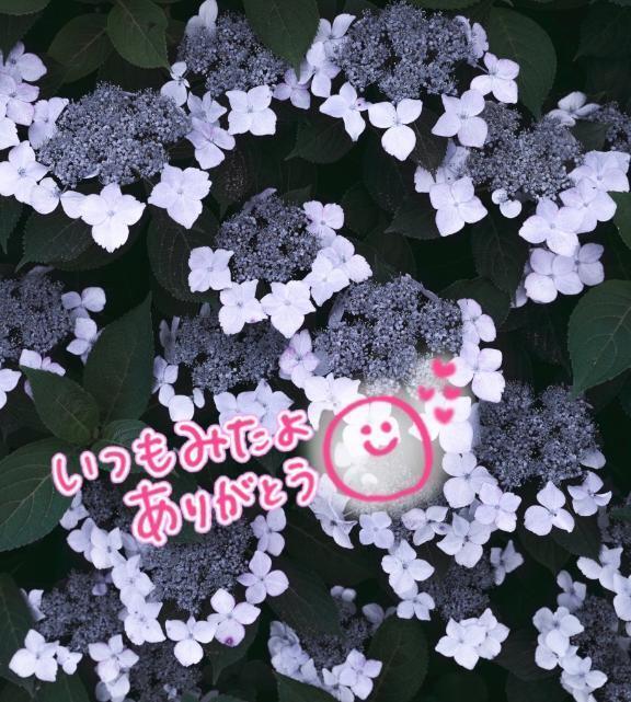 💖みたよのお礼💖｜写メ日記｜水沢　琴音｜新宿 出張SM 電マ惑星 イラマチーオ新宿店