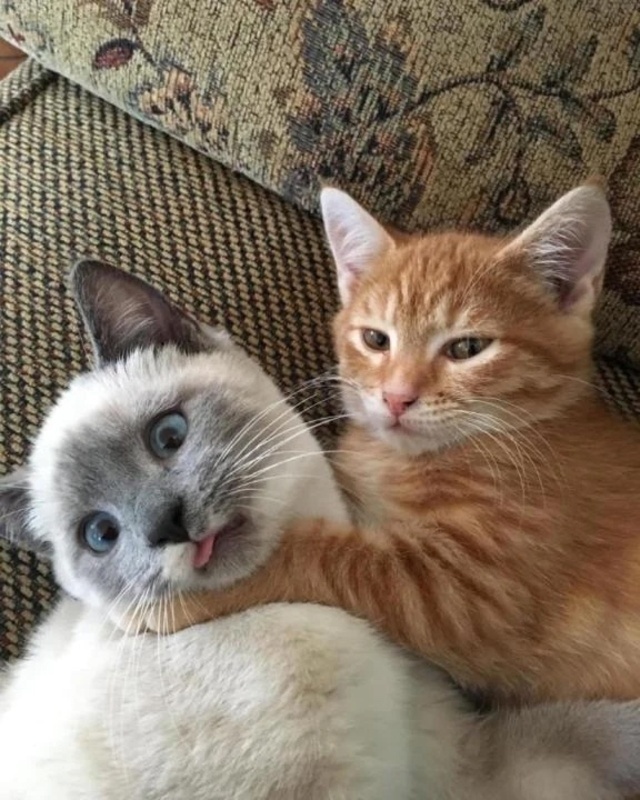 ほんとうの怖い話