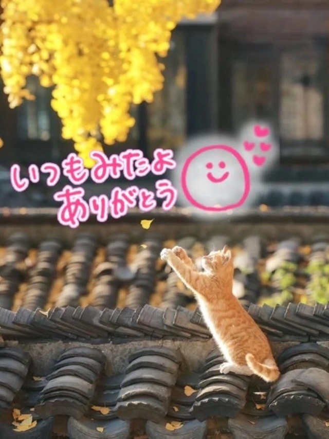 💖みたよのお礼💖｜写メ日記｜水沢　琴音｜新宿 出張SM 電マ惑星 イラマチーオ新宿店