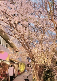4月｜写メ日記｜井原　りりあ｜新宿 出張SM 電マ惑星 イラマチーオ新宿店