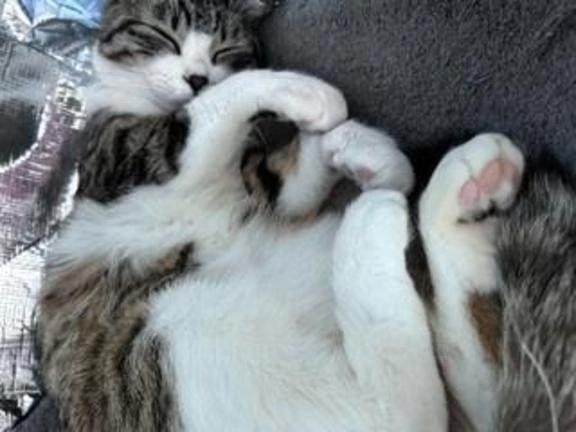 今日お休みです｜写メ日記｜飯田　まりえ｜新宿 出張SM 電マ惑星 イラマチーオ新宿店