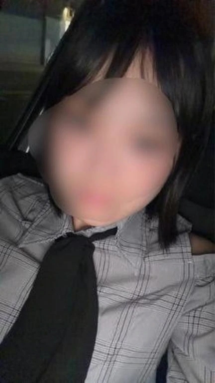 この見た目で