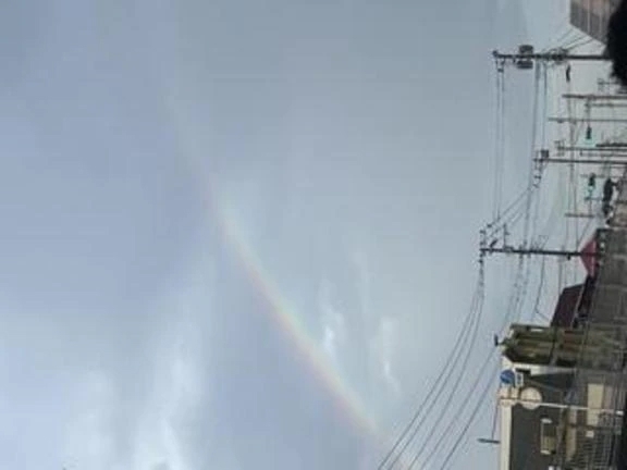 れいんぼー｜写メ日記｜森本　美桜｜新宿 出張SM 電マ惑星 イラマチーオ新宿店