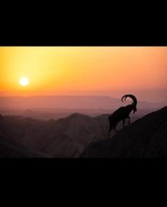 観るという行為。 SM牧歌シリーズ・大角の旦那編。｜写メ日記｜時任　クロエ｜新宿 出張SM 電マ惑星 イラマチーオ新宿店