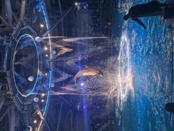 おやすみの日♪｜写メ日記｜月乃　ひいろ｜新宿 出張SM 電マ惑星 イラマチーオ新宿店