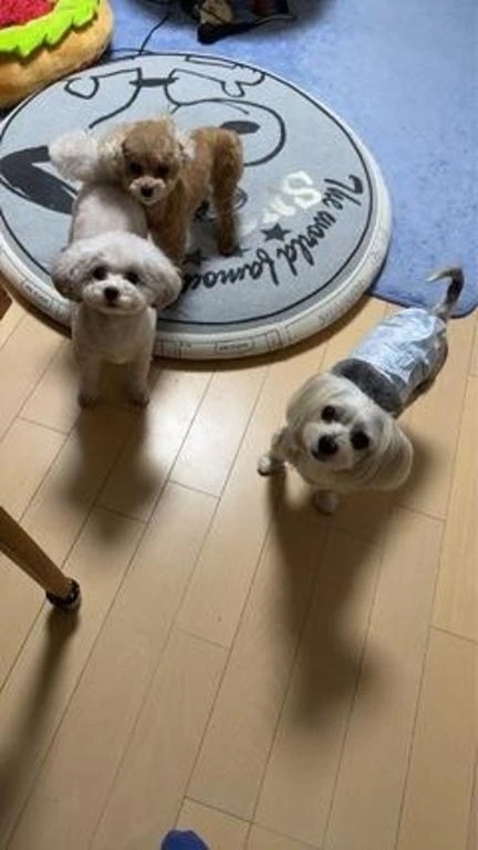 実家は寒いです…｜写メ日記｜月乃　ひいろ｜新宿 出張SM 電マ惑星 イラマチーオ新宿店