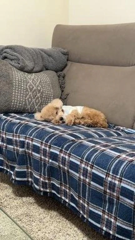 久しぶりの日記ですみません！｜写メ日記｜月乃　ひいろ｜新宿 出張SM 電マ惑星 イラマチーオ新宿店