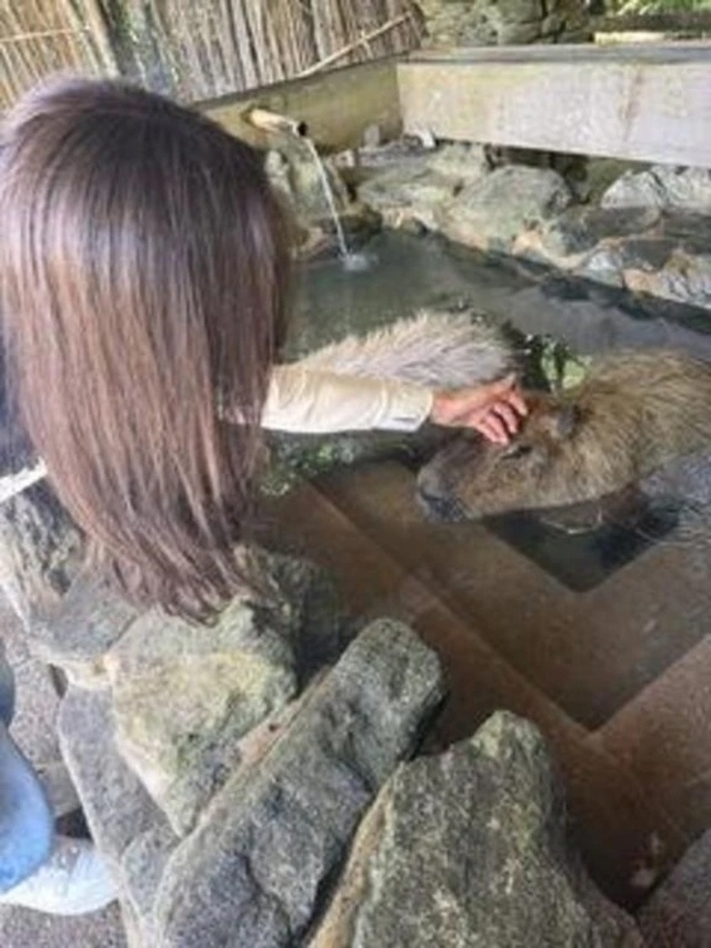 おはようございます?｜写メ日記｜月乃　ひいろ｜新宿 出張SM 電マ惑星 イラマチーオ新宿店