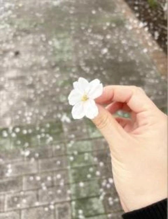 心残り｜写メ日記｜白鳥　幸子｜新宿 出張SM 電マ惑星 イラマチーオ新宿店