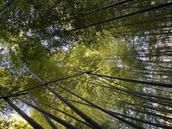 リフレッシュしたらえっちな気分｜写メ日記｜白井　蘭｜新宿 出張SM 電マ惑星 イラマチーオ新宿店