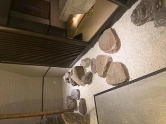 畳と石造りのホテル｜写メ日記｜井上　かな｜新宿 出張SM 電マ惑星 イラマチーオ新宿店