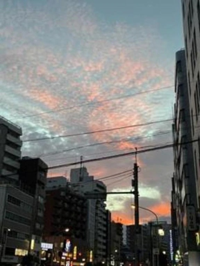 おはようございます、ご主人様｜写メ日記｜村上　麗華｜新宿 出張SM 電マ惑星 イラマチーオ新宿店