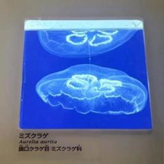 この温もりを、探して