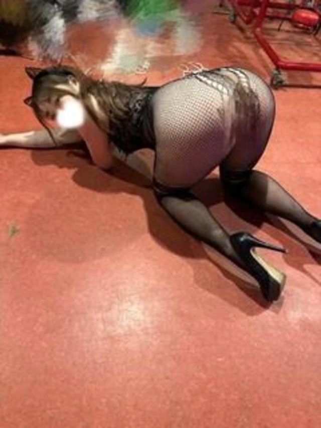 にゃんにゃんにゃんの日