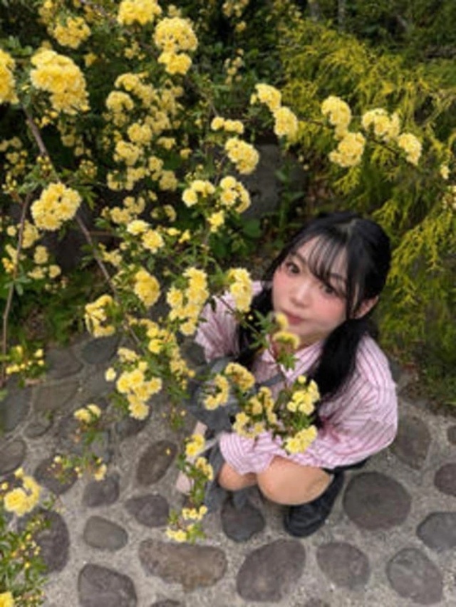 綺麗なものをみると