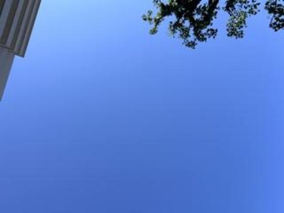 ごめんね｜写メ日記｜速水　美織｜品川・五反田 出張SM 電マ惑星 イラマチーオ五反田店