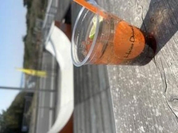 出勤しました｜写メ日記｜南　穂花｜品川・五反田 出張SM 電マ惑星 イラマチーオ五反田店
