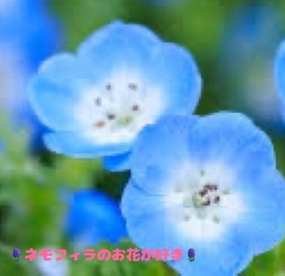 Gwはいかがお過ごしですか.｜写メ日記｜ひなた｜鶯谷 人妻デリヘル 鶯谷おかあさん