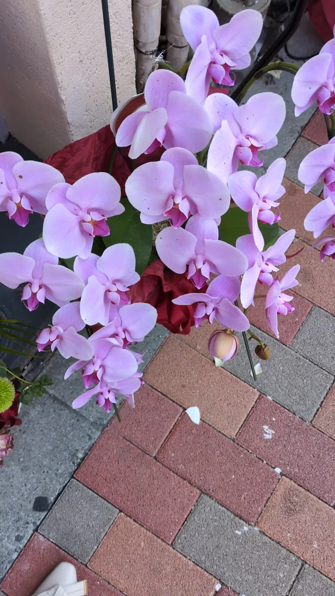 おはようございます😃✨