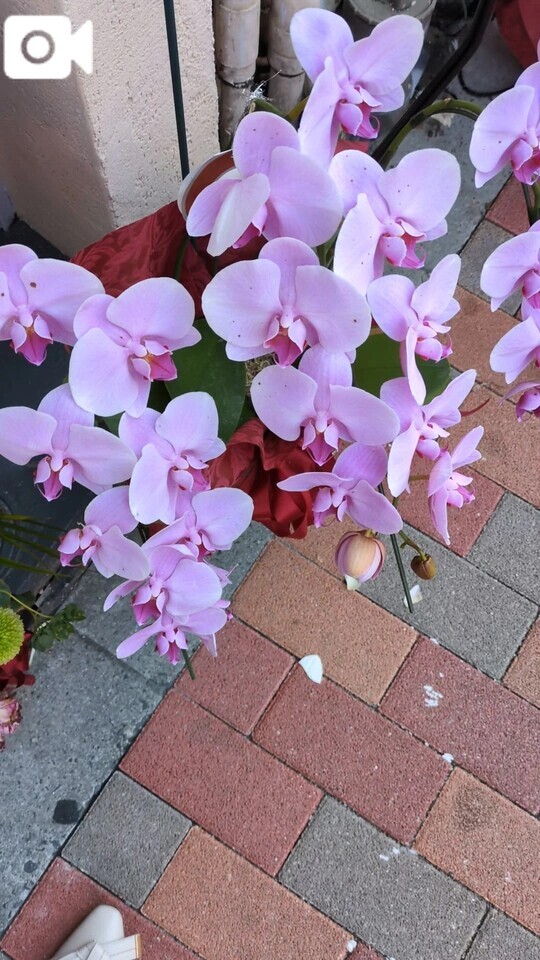 おはようございます☺️✨