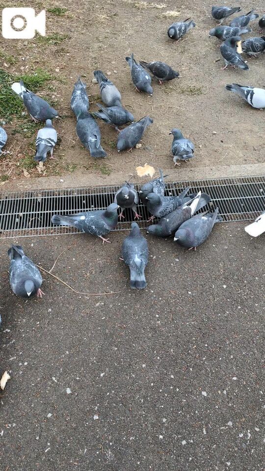おはようございます😊✨|写メ日記|ともえ|鶯谷 人妻デリヘル 鶯谷おかあさん