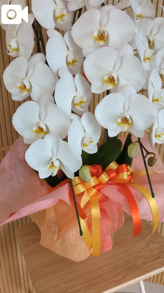 おはようございます😊✨