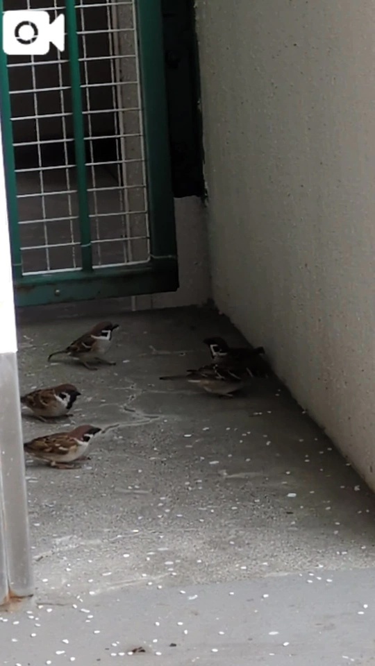 おはようございます😊✨