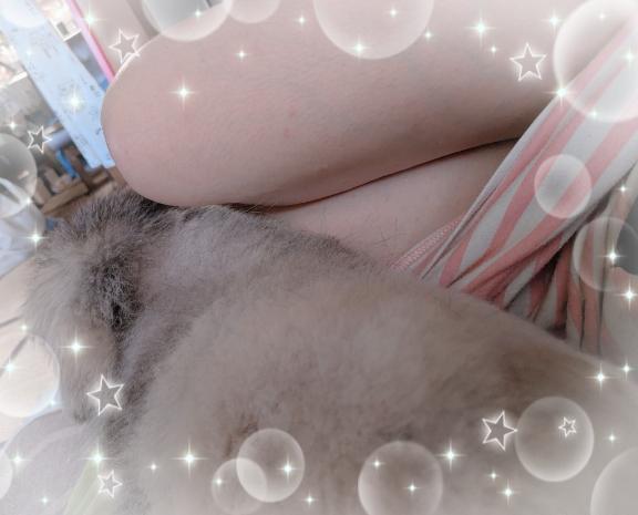 おはようございます