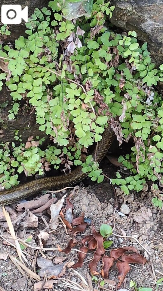 既に😁😁｜写メ日記｜ともえ｜鶯谷 人妻デリヘル 鶯谷おかあさん