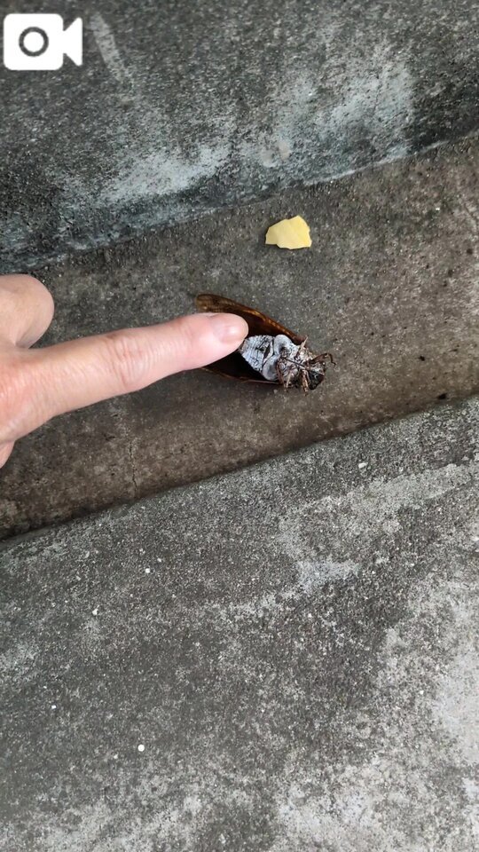 おはようございます😊✨