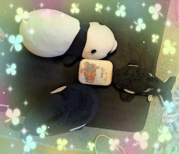 社長(入江ちゃん)の居ない間に😁😁