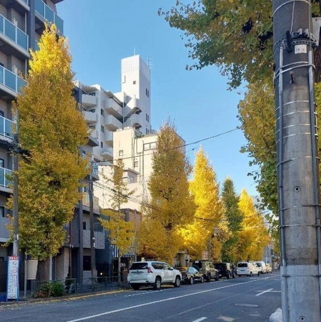 銀杏並木｜写メ日記｜あや｜鶯谷 人妻デリヘル 鶯谷おかあさん