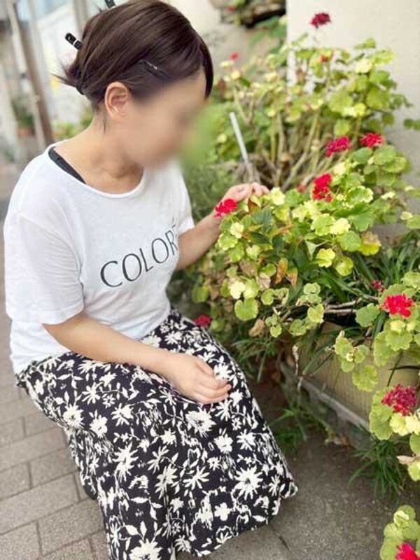 あやめ