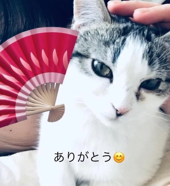 Ｎ様｜写メ日記｜あん｜鶯谷 人妻デリヘル 鶯谷おかあさん