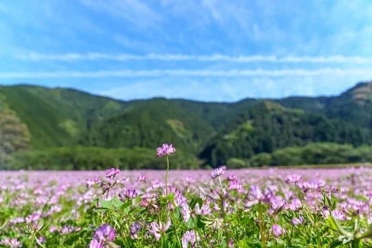 (⁠•⁠ө⁠•⁠)⁠♡｜写メ日記｜みやこ｜鶯谷 人妻デリヘル 鶯谷おかあさん