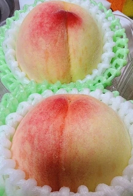 初物🍑✨