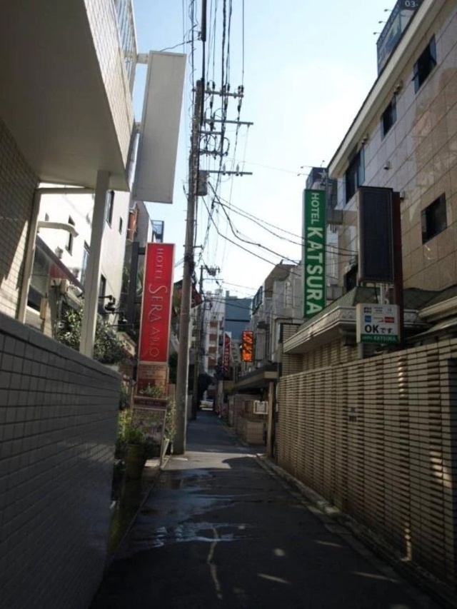 昼から出勤～。｜写メ日記｜ふみ｜鶯谷 人妻デリヘル 鶯谷おかあさん